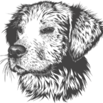 Co znamená, když se pes olizuje: Rozluštění motivace za tímto chováním