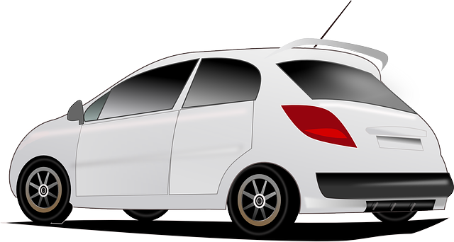 3. Osobní prostor a klid: Jak zajistit, aby se vaše kočka cítila v bezpečí a vyrovnaná?