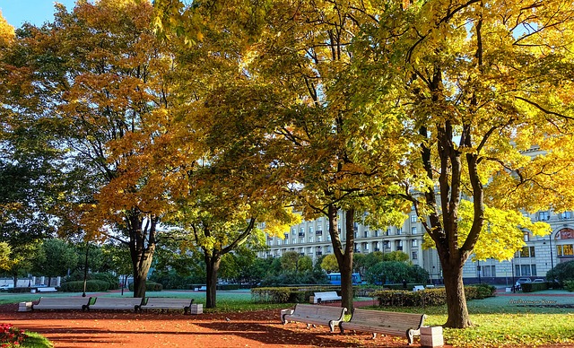 2. Ideální místa pro umístění kočičího záchodu v bytě: návody pro výběr vhodného prostoru