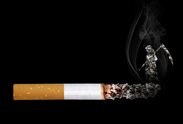 2. Příčiny průjmu‌ u psa: Co může způsobit zažívací potíže⁢ u vašeho ⁤psa