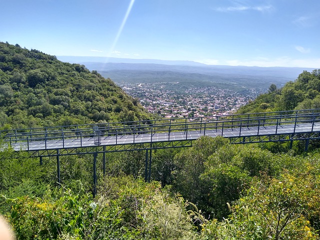 2. Nejpopulárnější kočičí rasy: znáte je všechny?