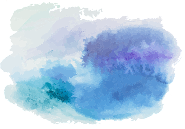 2. Barvy ve psím světě: Jak se liší vnímání barev u psů