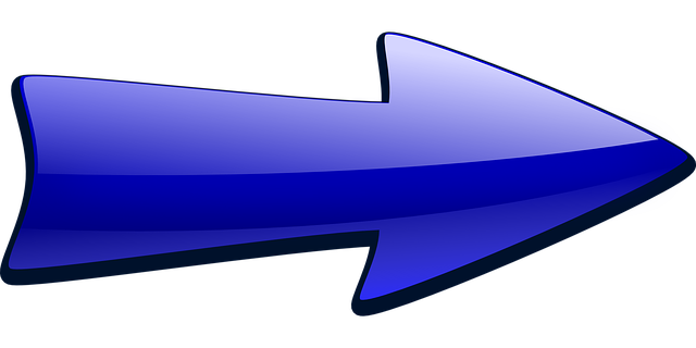 2. Adresa a kontaktní informace pro adopci starších koček