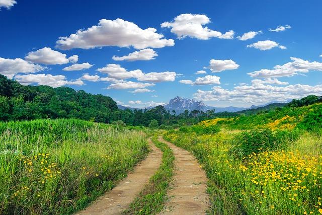 4. Jakým způsobem Fena kalkulátor určuje správné množství potravy pro vašeho psa