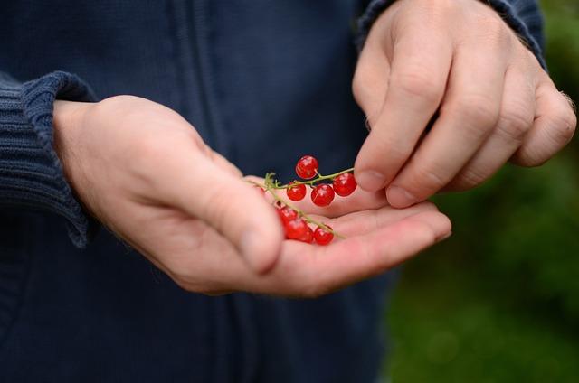 3. Důležitá péče pro fenu během hárání: co je potřeba vědět?