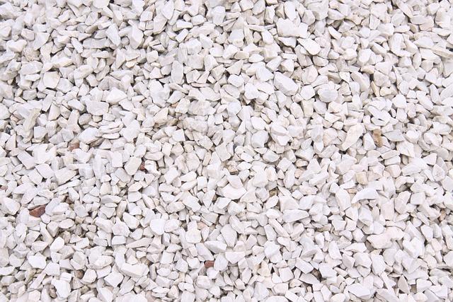 3. Přínosy‍ a omezení feny jako⁤ domácího mazlíčka: Co‍ je třeba zvážit