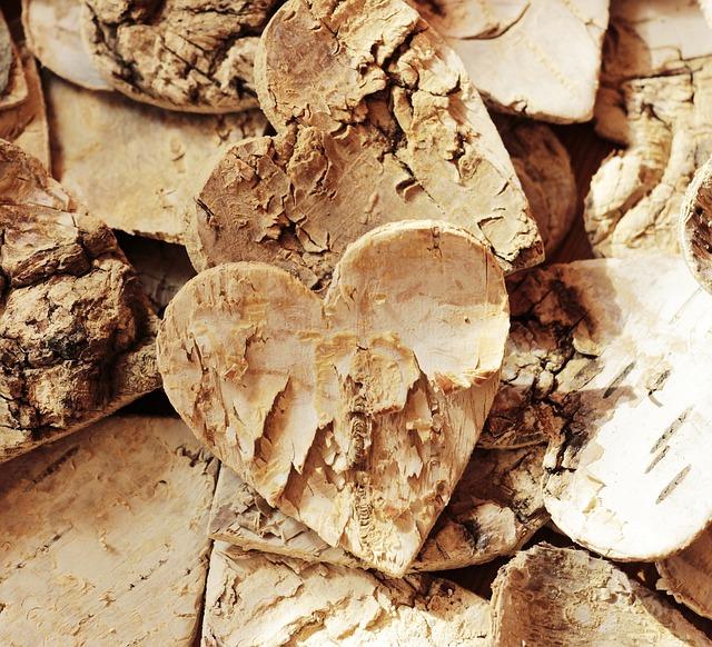 2. Co je ‌fena ‌březí a jak​ poznat, že je ⁣těhotná?