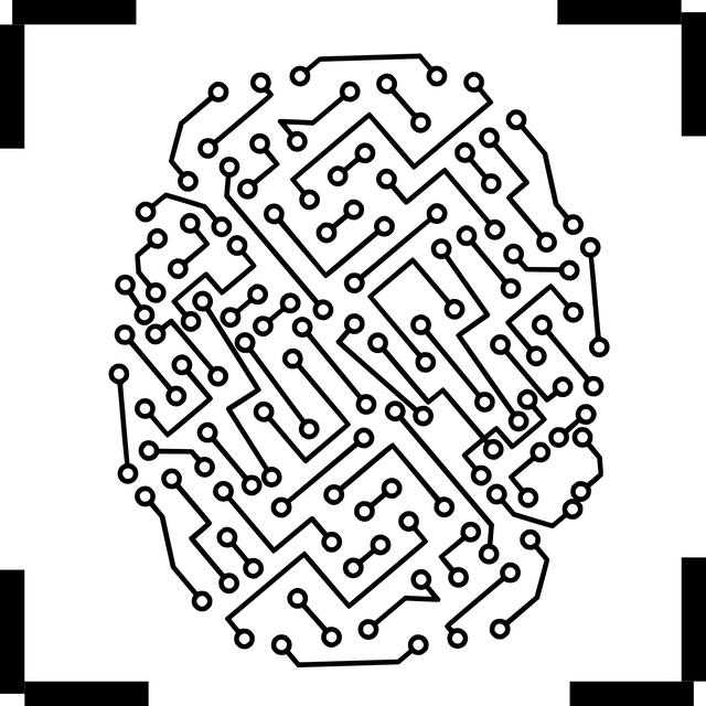 1. Jak identifikovat a ošetřit nalezeného ztraceného psa?