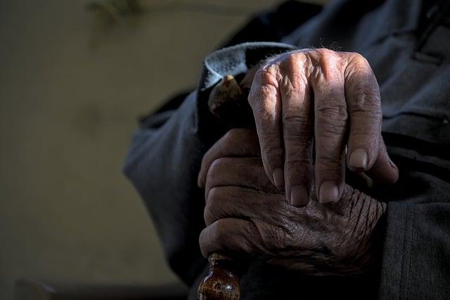 3. Proč je důležité zvážit adopci z útulku?