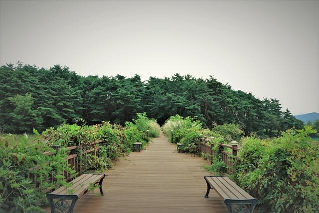 5. Jakým způsobem můžeme ⁣pomoci Pomeranian ‍Vzteklému zmírnit ⁣stres?