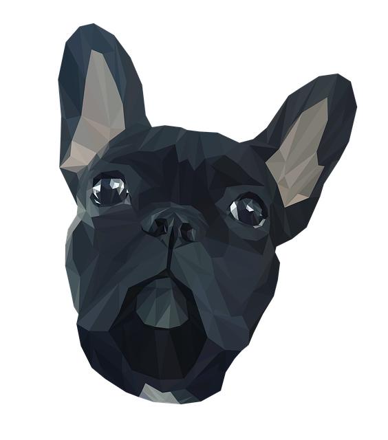 1. Co je to buldoček francouzský vřed a jak se projevuje na pokožce psa?