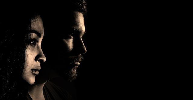 2. Jak můžete pomoci opuštěným stafordšírským bulteriérům v útulku