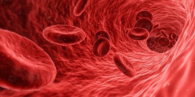 5. Péče a údržba stafordšírského bulteriéra s ohledem na alergie