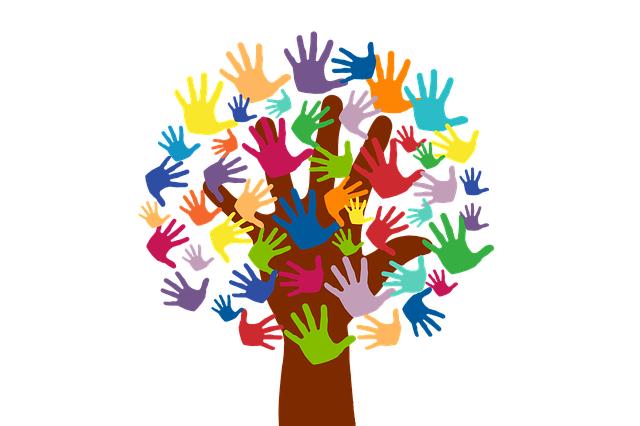 5. Dobrovolnictví v útulku: Jak se stát dobrovolníkem a pomáhat opuštěným stafbulům